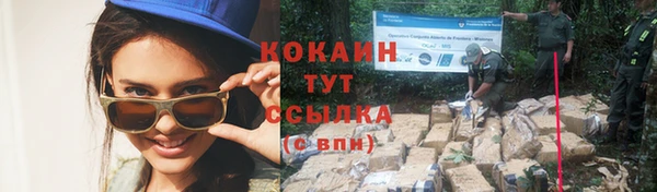 молекула духа Елабуга