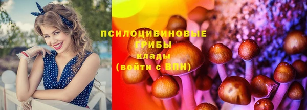 МДПВ Заводоуковск